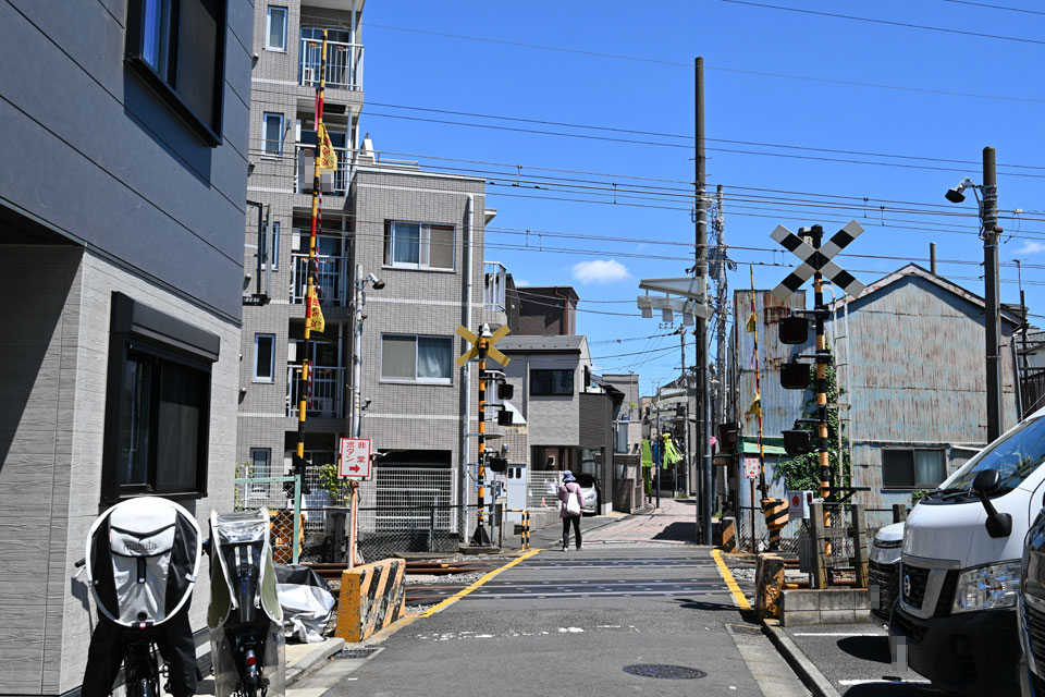亀6