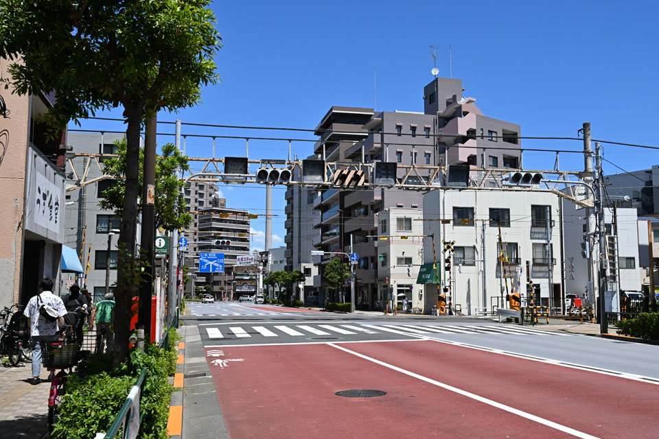 亀10