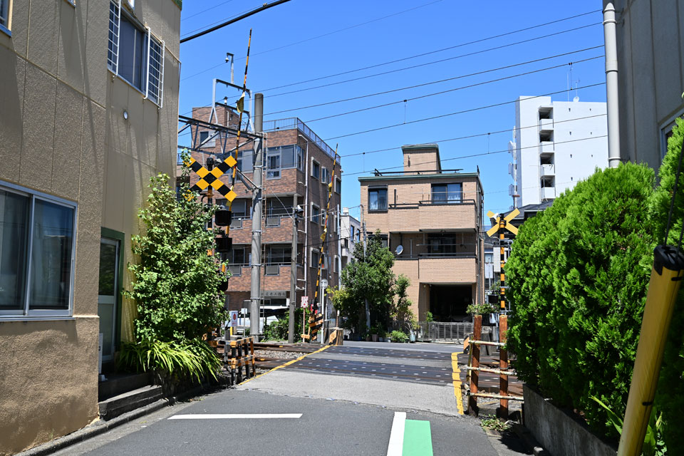 亀12