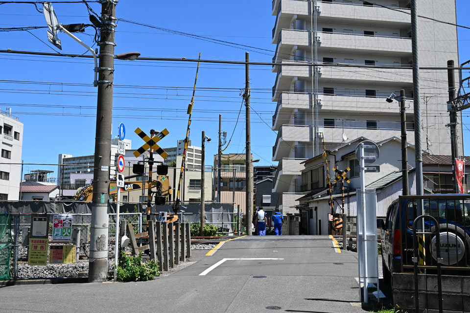 亀15