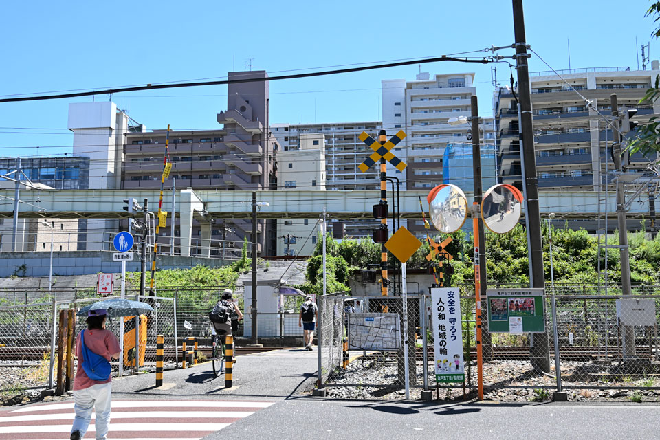 亀22