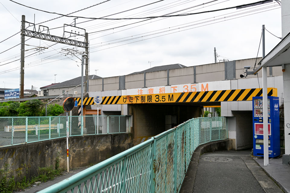 並木通り