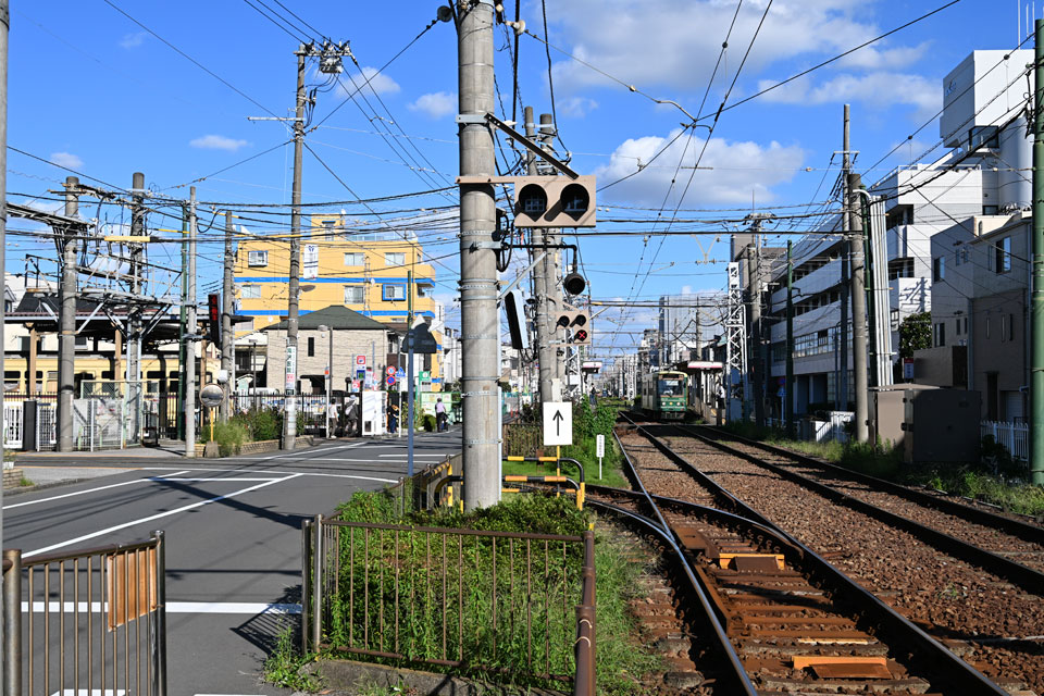 信号