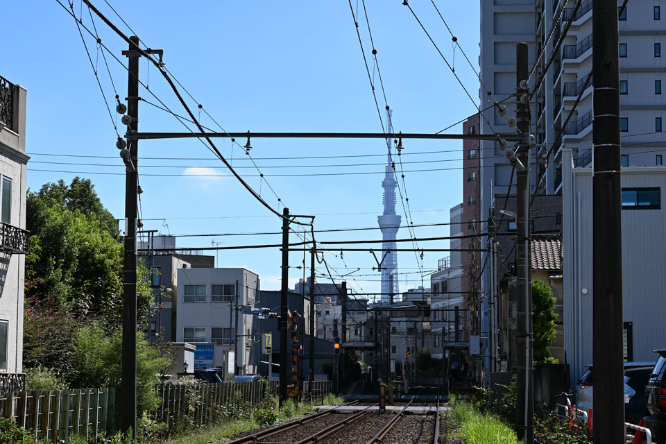 スカイツリー