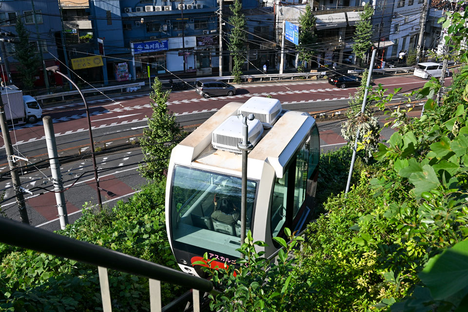アスカルゴ
