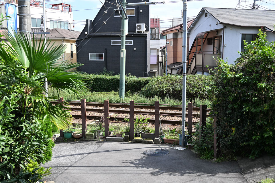 滝野川6号？