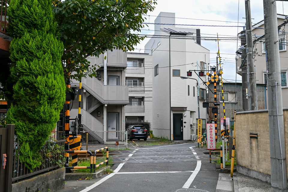木陰