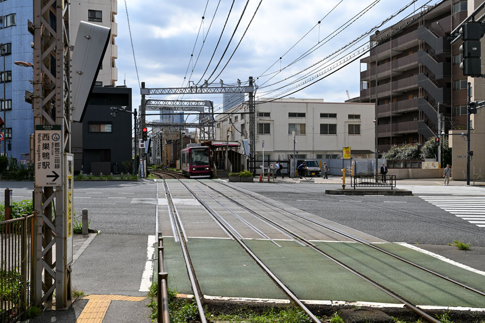 白山通り