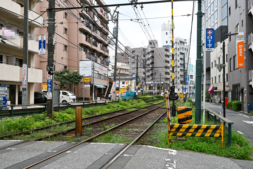 軌道敷緑化