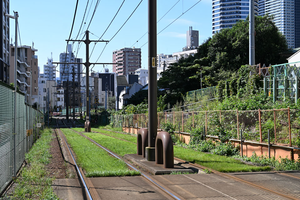 軌道緑化