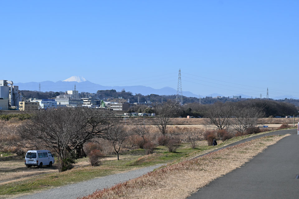富士山