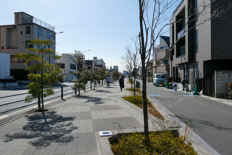 桜新道