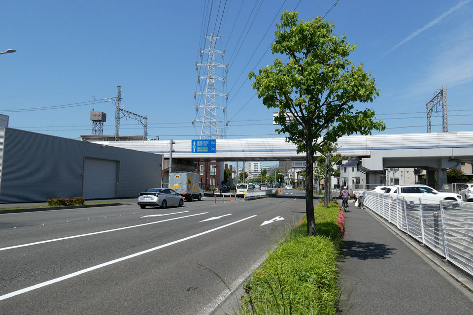 県道