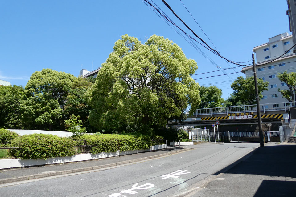 仲手原広場公園