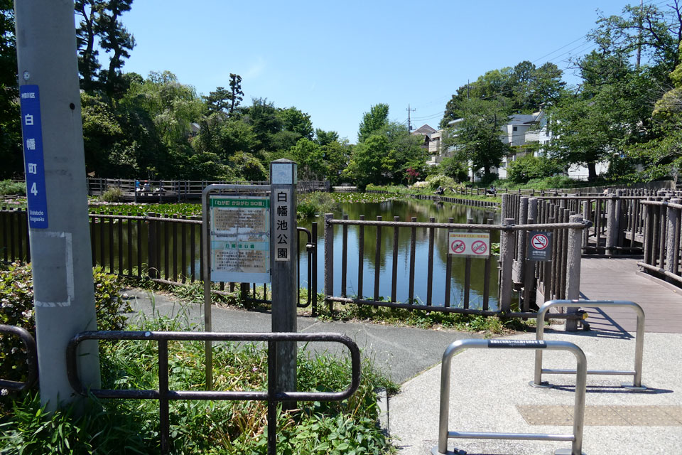 白幡池公園